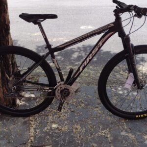 Bike First FX - Tamanho 17,5