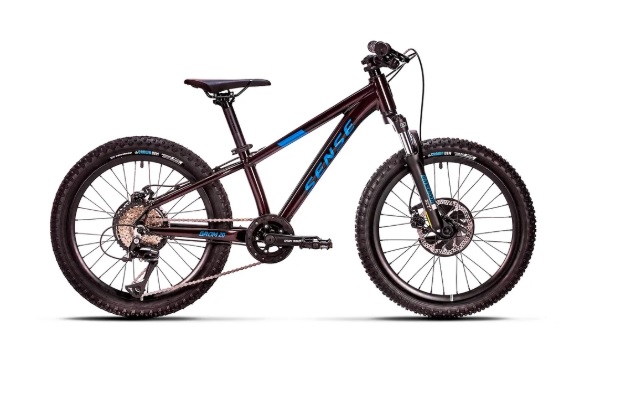 Bicicleta Sense Grom Aro 20 Evo